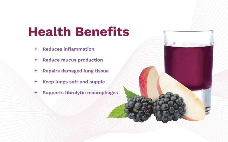 BerriQi® Apple & Boysenberry Powder