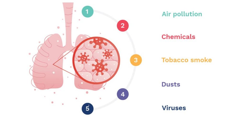 lung2