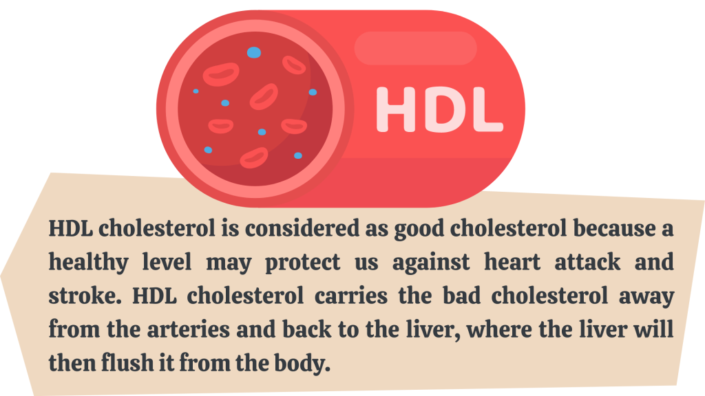 HDL cholesterol good cholesterol 