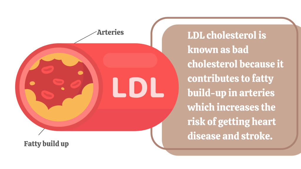 LDL cholesterol bad cholesterol
