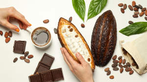 Read more about the article The Future of Cocoa Bean Ingredient Alternatives